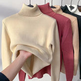 ARGENTO | Caldo maglione invernale a collo alto foderato in pile