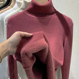 ARGENTO | Caldo maglione invernale a collo alto foderato in pile
